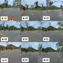 포시즌캠핑장 | 청주 캠핑장 청주 옥화포시즌캠핑장 별빛 캠핑 후기