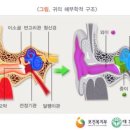 웰키즈소아청소년과의원 이미지