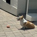 GS25경주첨성대점 이미지