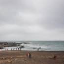 하례1리 | 뚜벅이 제주 여행 쇠소깍 나무카약(조각배) 후기 및 대중교통(버스) 이용해서 성산포 가기