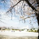 능북초등학교 이미지