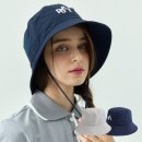 페르시안 캣 이미지