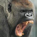 에어라인 이미지