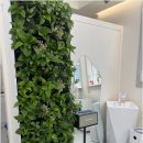 A1171 | 천안발톱무좀 세심한 풋케어 오네또 문제성발전문점