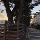 지에스25 서귀중앙점 이미지