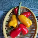 두메유기농원 이미지