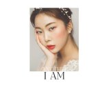 노블레스에디션 이미지