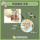 옥포한의원 이미지