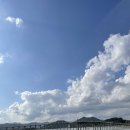 동고성농협하나로마트