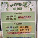 필라테스 요가 수업 후기