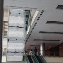 고은의료기 | 코엑스 국제의료기전시회 관람기 1탄