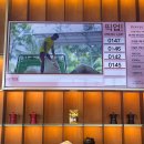 파스쿠찌 부산명지점 | 명지] 오션뷰 대형카페 뷰 맛집 파스쿠찌 부산명지점 다녀온 후기 반려동물 가능 단체 모임 가능 주차 가능