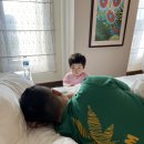 22개월 아기와 괌 태교여행 / 1탄 호텔비교(두짓타니, 롯데 괌)