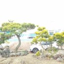 유 농원 이미지