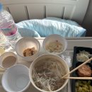 주동물병원 | 암치료중, 재수술 전절제 후 방사성 동위원소 치료 후기 (내몸이 몸 같지 않아요 l 더 먹을게 없어졌다)