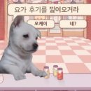 요가(1) 이미지
