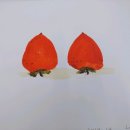 부미갤러리 이미지