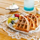 완도네시아 이미지