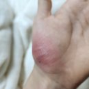 이지템프 이미지