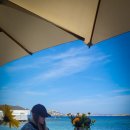 리틀미코노스4 이미지