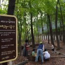 매봉산 유아숲체험원 이미지