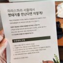 파라스파라 서울 호캉스, 팀버스위트 후기
