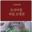 [공지] 춘천 고전진의 한복 프리미엄 피팅 초대권