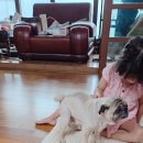 정훈이불