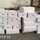 성암영농조합법인 새전북신문
