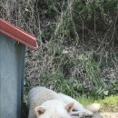 장수실버그린노인전문요양원 이미지