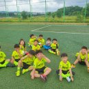 지혜샘유치원 이미지