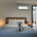 스테이제부 이미지