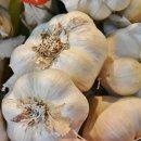 임고농업협동조합 이미지