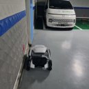 포항휠체어 이미지