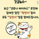 핫점핑다이어트 이미지