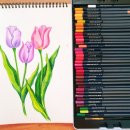 색연필화 | 🎨 따뜻하고 감성가득한 색연필화 클래스 후기