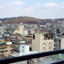 양지2호 이미지