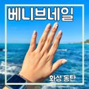 골든베니 | 병점역 겨울 네일 아트 쇠맛 베니브 병점점