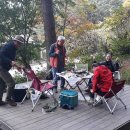 생음악차차차 이미지