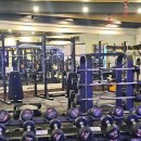 휘트니스 더 레이 이미지