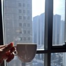 (주)조선호텔앤리조트 레스케이프 | [Stay] 레스케이프 서울 명동 호텔 아모르 킹 객실 솔직 리뷰