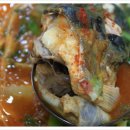 박쏘가리 이미지