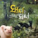 꼬꼬마 돼지 이미지