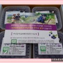 잉꼬농원 이미지