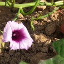 상구농장 이미지