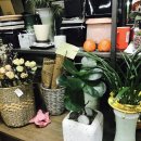 상록꽃화원 이미지