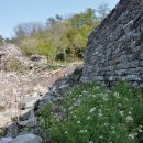 아영면 일대마을 이미지