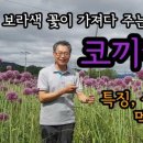코끼리웰빙