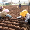 11/13일 포토뉴스 이미지