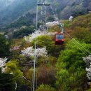 대둔산 케이블카 이미지